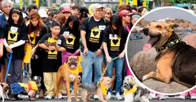 Evento busca recolectar fondo para animales indefensos.