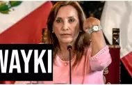 Dina Boluarte: Qu significa 'wayki', la palabra que us la presidenta para referirse a Wilfredo Oscorima?