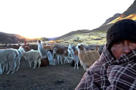 Senamhi advierte das fros en la selva y Sierra sur