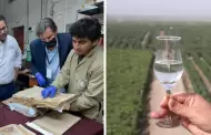 Se acab la discusin! El pisco es peruano: Increble dato histrico corrobora su origen