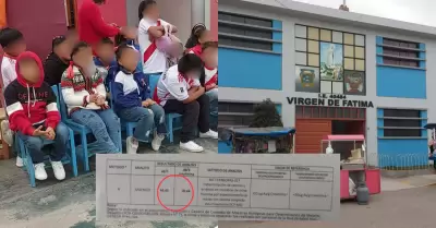 Arequipa: Nios intoxicados por metales pesados en la sangre