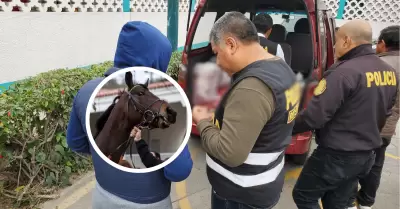 Carne de Caballo en el mercado Huamantanga en Puente Piedra