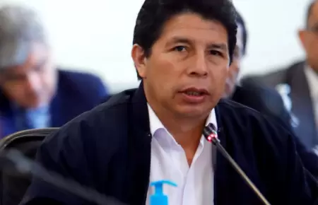 Pedro Castillo pide archivar investigacin en su contra.