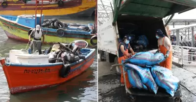 Recolectan residuos del fondo del mar en Tacna