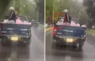 Indignante escena! Hombres arrojan sin piedad a gatitos desde un auto en movimiento