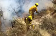 Minam intensifica estrategias preventivas ante riesgos de incendios forestales