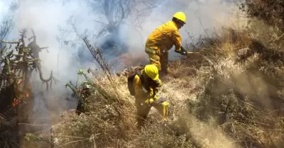 Buscan apagar incendios forestales.