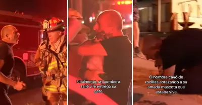 Hombre suplica a bomberos que rescaten a su gata.