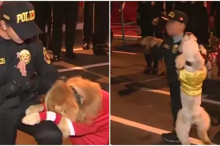 Perritos de la Unidad Canina de la PNP en Gran Parada Militar