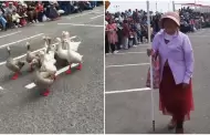 Abuelita y sus gansos se roban el show en desfile por Fiestas Patrias: "Son patticos"