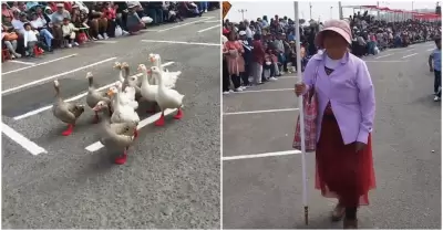 Abuelita y sus gansos desfilan por Fiestas Patrias