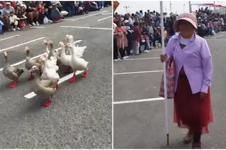 Abuelita y sus gansos desfilan por Fiestas Patrias