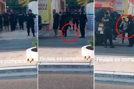 Policas se llevan detenido a perrito.