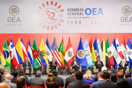 Organizacin de los Estados Americanos (OEA)