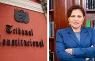 Ley de contrarreforma universitaria: Tribunal Constitucional rechaza demanda de inconstitucionalidad de normativa