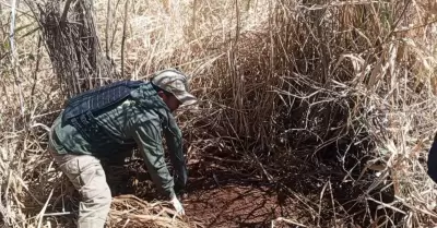 Joven acaba con la vida de nia de ocho aos en terrorfico ritual.