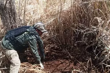 Joven acaba con la vida de nia de ocho aos en terrorfico ritual.