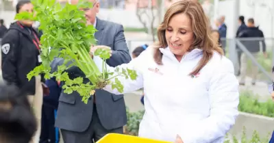 Dina Boluarte inaugura colegio en Surco