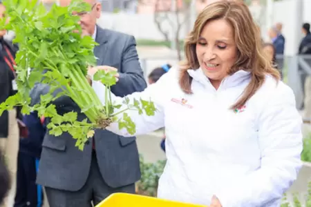 Dina Boluarte inaugura colegio en Surco