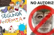 "Mi segunda pandemia": viruela del mono desata ola de memes en las redes sociales