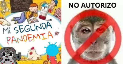 Viruela del mono desata ola de memes.