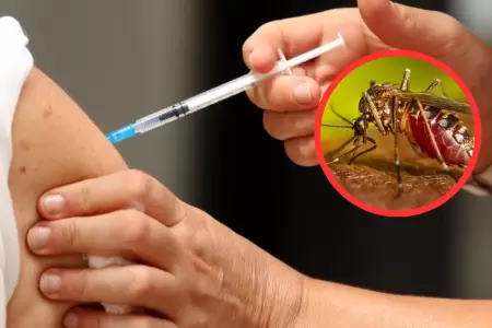 Vacunas para el Dengue