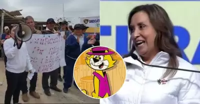 Trabajadores del INPE crean 'Gato Ron Ron'.