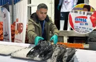 Atencin! Exitosa y SNP entregan una tonelada de pescado bonito para ms de 25 ollas comunes