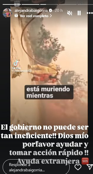 Alejandra Baigorria cuestiona al gobierno por incendios forestales en Per.