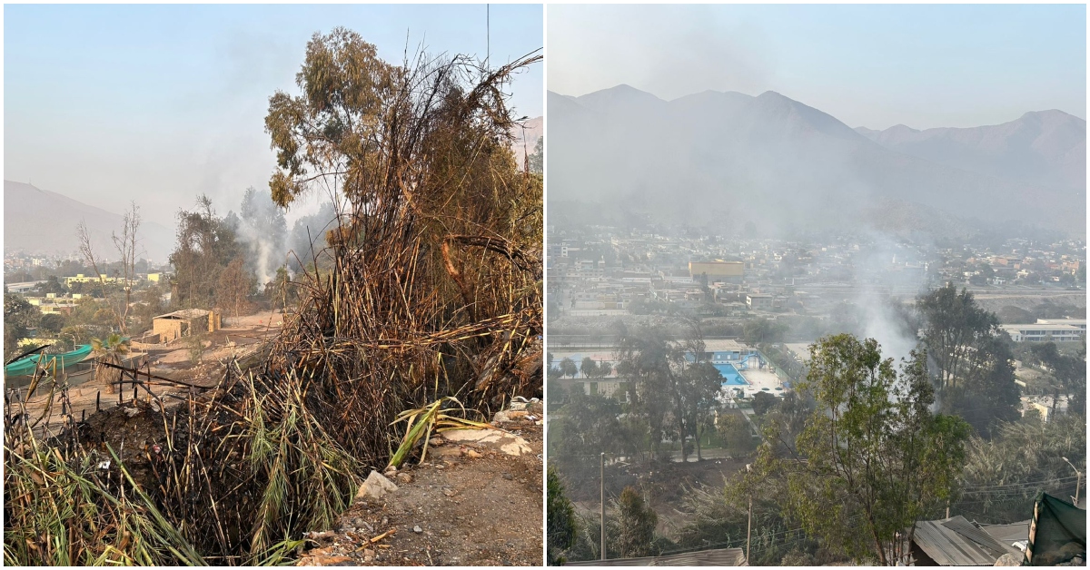 Incendio forestal en Chosica podría reavivarse: Continúa la humareda de ...