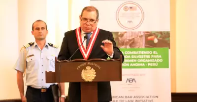 Javier Arvalo, presidente del Poder Judicial,