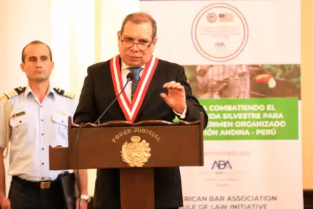 Javier Arvalo, presidente del Poder Judicial,