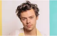 Harry Styles: Por qu el ex One Direction prefiere mantenerse alejado de las redes sociales?