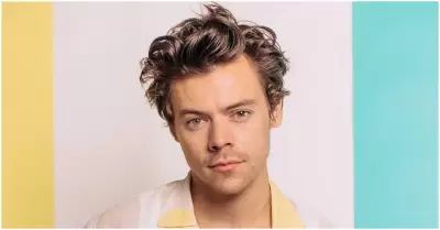 Por qu Harry Styles se aleja de las redes sociales?