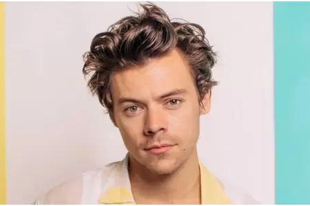 Por qu Harry Styles se aleja de las redes sociales?