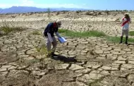 Alarmas en San Martn: Sequa de ros provocara prdida de 200 millones de dlares en cultivo de arroz