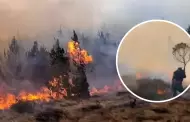 Incendio forestal en Incahuasi: Gobernador de Lambayeque pide apoyo del Gobierno tras reavivarse siniestro