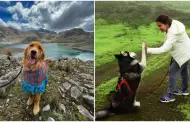 Buscas una escapada? Descubre estos 4 destinos pet friendly cerca de Lima para disfrutar con tu mascota