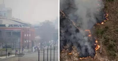 Incendios en el Amazonas