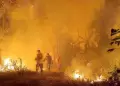 Per no pudo apoyar a Bolivia ante la creciente ola de incendios en su territorio: Por qu?