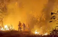 Per no pudo apoyar a Bolivia ante la creciente ola de incendios en su territorio: Por qu?