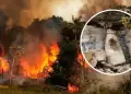 Incendio forestal en Amazonas est afectando importantes hallazgos arqueolgicos, alerta alcalde de Luya