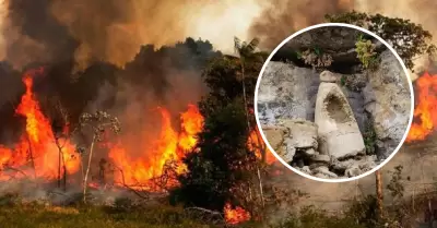 Incendio forestal en Amazonas causa prdidas irreparables.