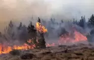 Incendios en Incahuasi: Solicitan declaratoria de emergencia ante siniestro que ha dejado un fallecido