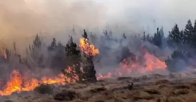 Incendios en Incahuasi.