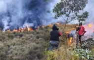 Exigen declarar ncash en estado de emergencia por incendios forestales: "Son 5 mil hectreas afectadas"