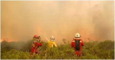 Helicpteros no llegan al Amazonas para atender incendios forestales