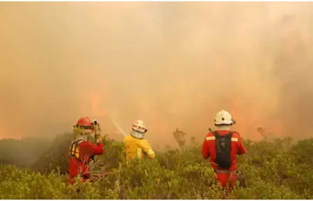 Helicpteros no llegan al Amazonas para atender incendios forestales