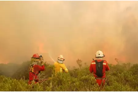 Helicpteros no llegan al Amazonas para atender incendios forestales