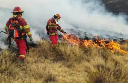 Condiciones favorables para incendios forestales seguirn hasta noviembre.